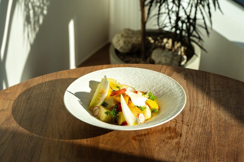 바이탈바이브 사진 7