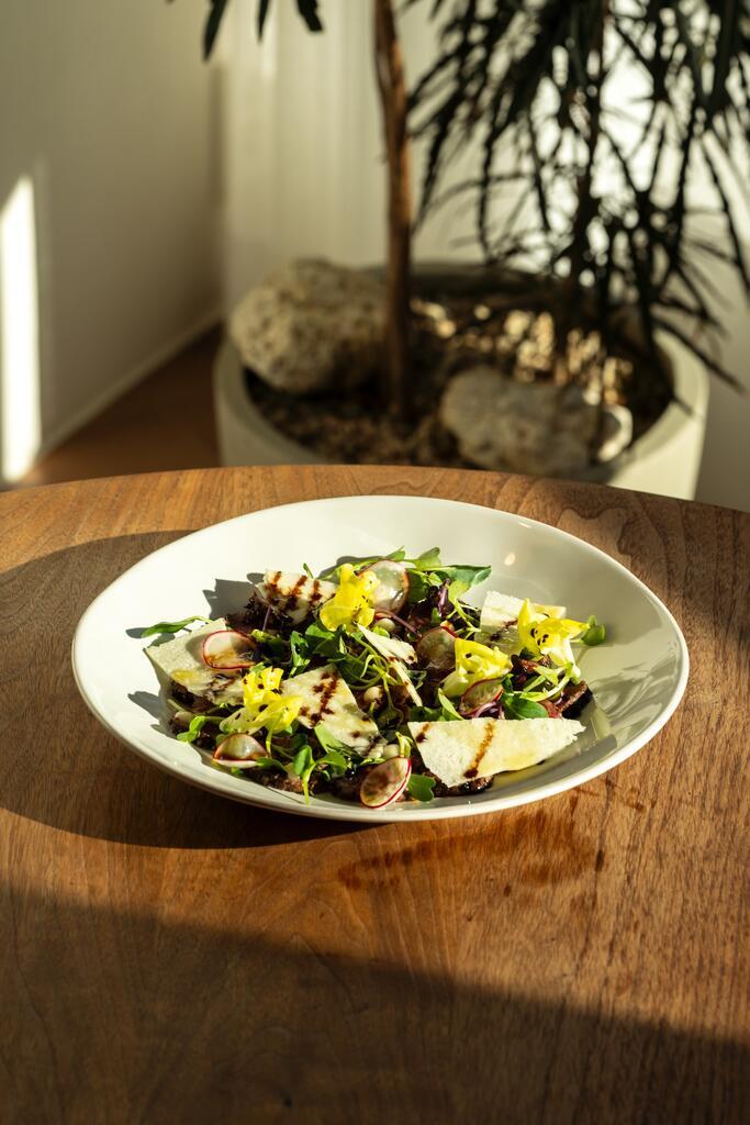 바이탈바이브 사진 8