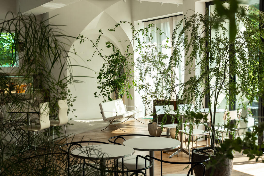 바이탈바이브 사진 14